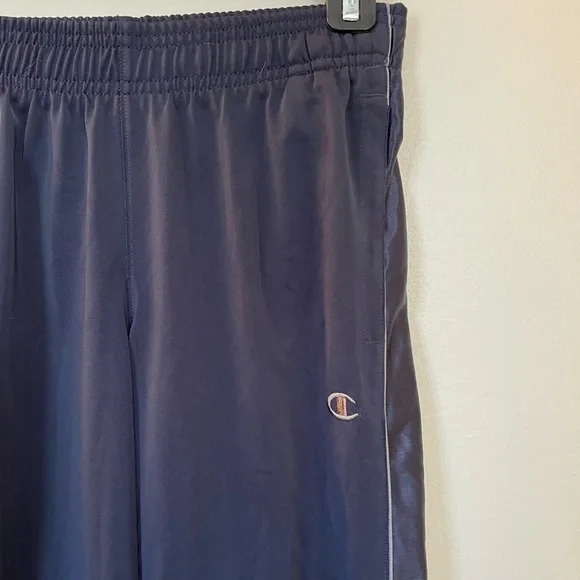 Champion | Navy Athletic Pants | Size Large - Picture 3 of 6